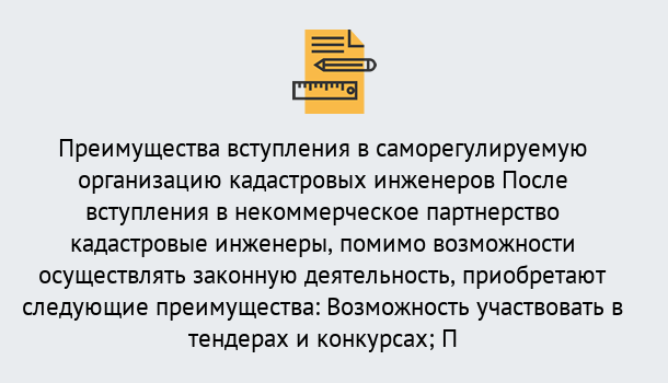 Почему нужно обратиться к нам? Саяногорск Что дает допуск СРО кадастровых инженеров?