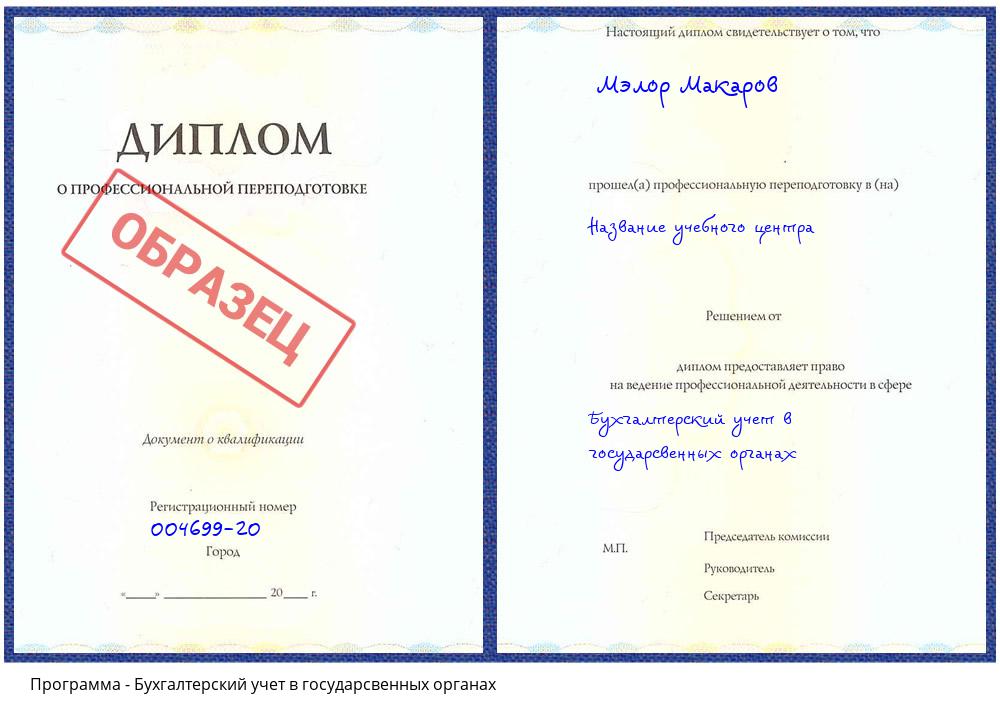 Бухгалтерский учет в государсвенных органах Саяногорск