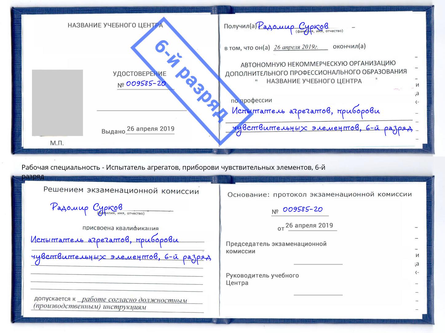 корочка 6-й разряд Испытатель агрегатов, приборови чувствительных элементов Саяногорск