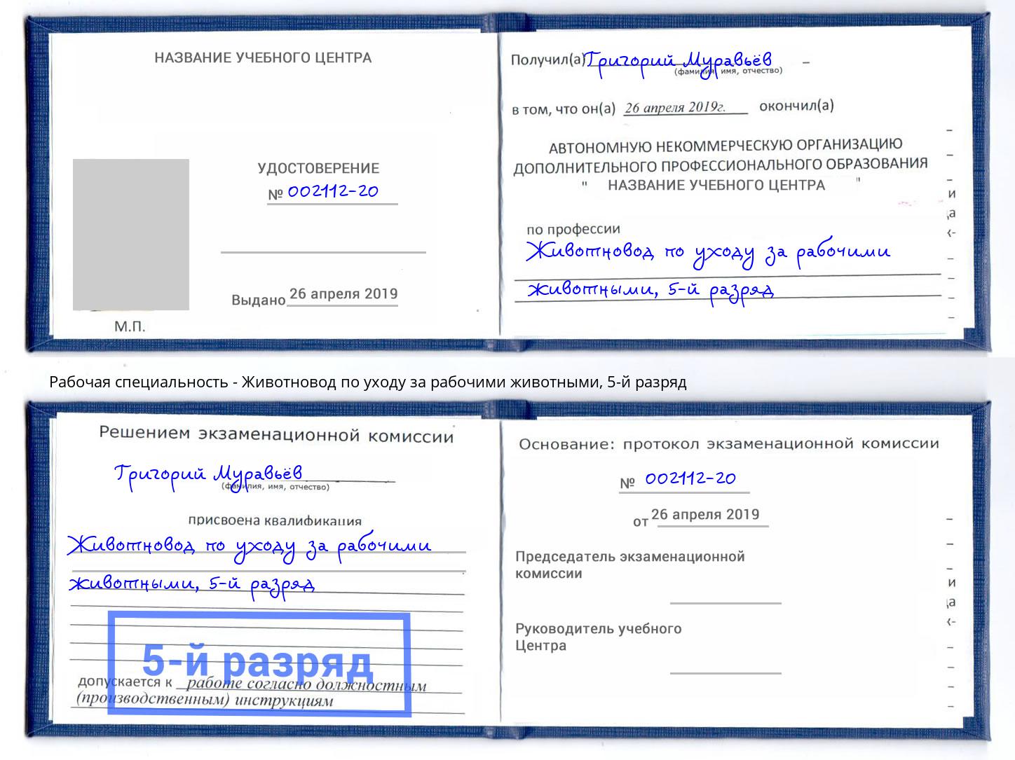 корочка 5-й разряд Животновод по уходу за рабочими животными Саяногорск