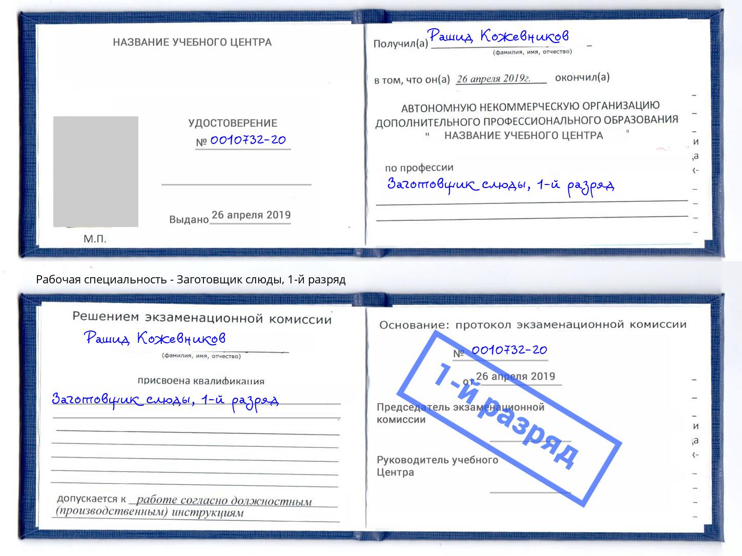 корочка 1-й разряд Заготовщик слюды Саяногорск