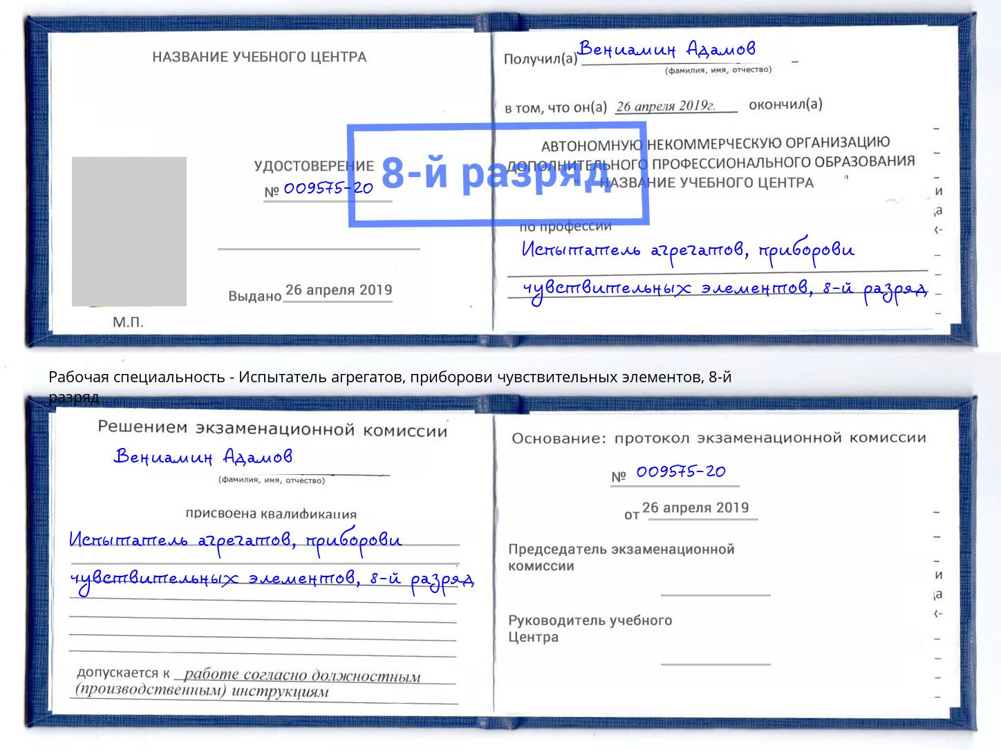 корочка 8-й разряд Испытатель агрегатов, приборови чувствительных элементов Саяногорск
